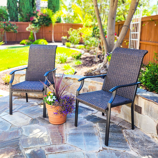 Rattan Dining Chairs Metal Garden Chairs Chairs Set of 2