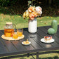 PHI VILLA Panel Steel Rectangle Outdoor Dining Table for 6 Chairs